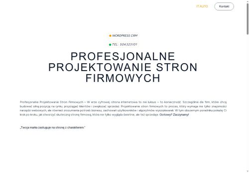 TI AUTO Darmowy motyw Divi Serwis Komputerowy Lędziny TI AUTO Darmowy motyw Divi Serwis Komputerowy Lędziny