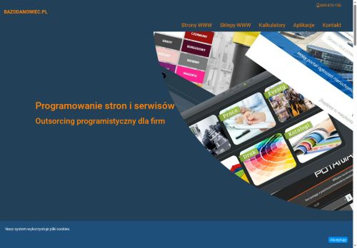 Strona programisty