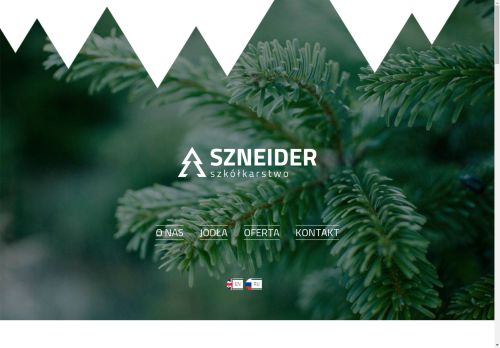 Producent jodły kaukaskiej